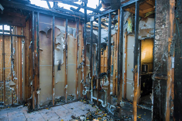 Professional Fire Damage Removal technician working in Roanoke Rapids, NC